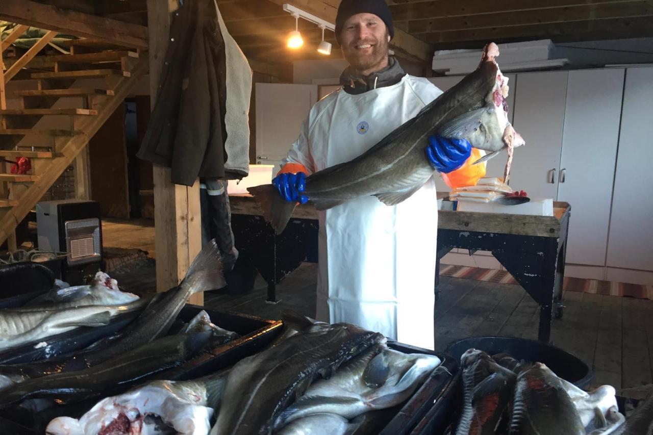 Kalle I Lofoten Kabelvåg Zewnętrze zdjęcie